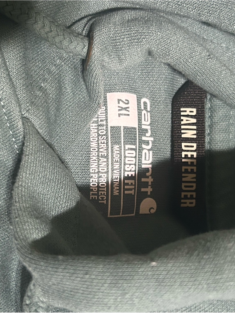 Carhartt Rain Defender Loose Fit Pullover Hoodie in Sage